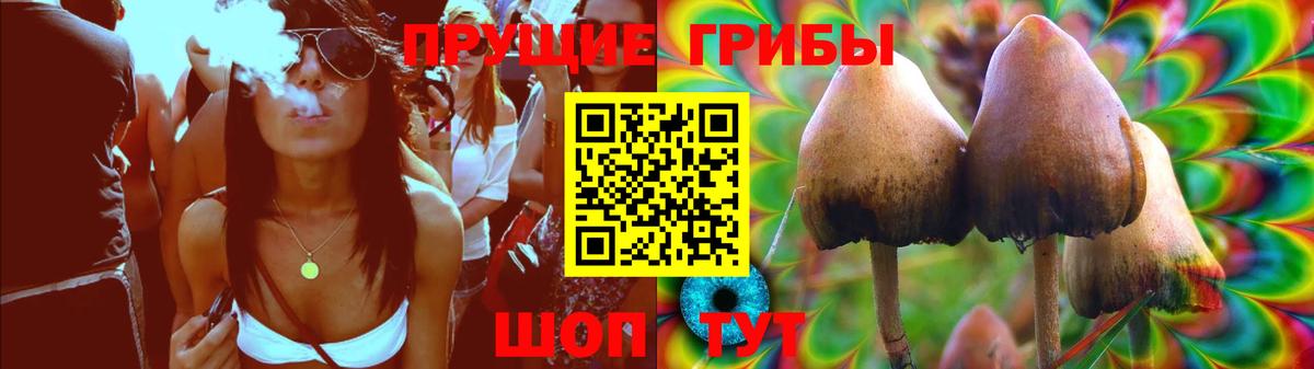 Псилоцибиновые грибы GOLDEN TEACHER  Вход с VPN  Балахна 
